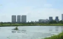 500 dự án treo "không nhúc nhích" tại TP.HCM