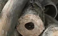 Đốt thành tro 2 tấn ngà voi và 70 kg sừng tê giác