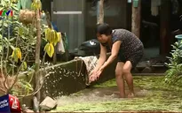 Ngập lụt kéo dài, người dân Đồng Nai lo lắng dịch bệnh