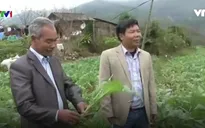 DN giúp nâng cao khả năng cạnh tranh của nông sản Việt Nam