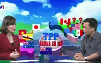 "Nếu TPP mất đi, Việt Nam vẫn còn những điểm có lợi"
