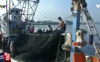 Ngành ngư nghiệp Thái Lan trước nguy cơ thua lỗ
