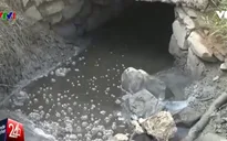 Cơ sở chế biến hải sản tại Bà Rịa - Vũng Tàu "hồn nhiên" xả thải ra môi trường