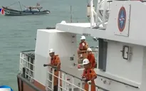Vụ tàu cá bị đâm chìm ở Hoàng Sa: 34 ngư dân về đến đất liền an toàn