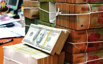 Tỷ giá trung tâm VND/USD đạt ngưỡng cao nhất từ đầu năm 2016