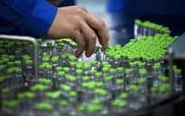 Trung Quốc bắt giữ hơn 130 người dinh líu vụ bê bối vaccine