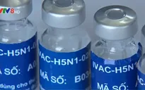 Thử nghiệm giai đoạn 2 vaccine cúm A/H5N1 tại Khánh Hòa