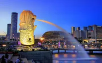 Văn hóa kinh doanh Singapore thể hiện sự minh bạch