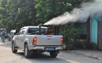 Người dân tự ý phun thuốc diệt muỗi khiến muỗi "khỏe" lên