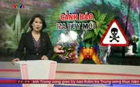 Lá Khát độc hơn ma túy thông thường 500 lần và có khả năng gây ung thư