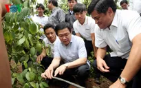 Phó Thủ tướng Vương Đình Huệ làm việc tại Gia Lai