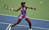 US Open 2016: Venus dễ dàng giành quyền vào vòng 3