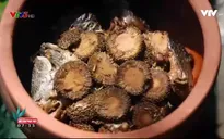 Đến Ninh Bình thưởng thức cá kho gáo ngon khó cưỡng