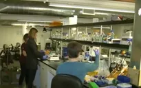 Thực phẩm vi cá mập nhân tạo được thị trường đón nhận