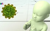 Virus Zika lan nhanh tại nhiều nước