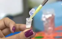 Phát hiện siêu vi khuẩn gia tăng mạnh tại các bãi biển của Rio De Janeiro