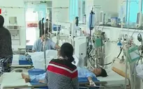 Gia tăng trẻ sốt xuất huyết đầu mùa mưa tại ĐBSCL
