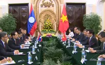 Hội đàm ngoại giao Việt - Lào