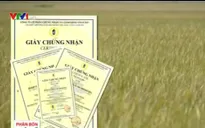 Ngang nhiên chào bán chứng nhận VietGAP