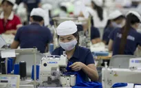 Gần 23.000 doanh nghiệp quay lại hoạt động