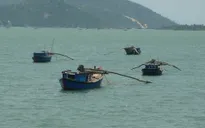 Cần Thơ: Tràn lan nạn đánh bắt thủy sản bằng xung điện