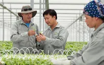 Doanh nhân và hội nhập: Xây dựng mối liên kết trong sản xuất nông nghiệp (15h35, ngày 12/11, VTV1)