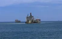 Hà Tĩnh khảo sát hệ sinh thái biển Vịnh Sơn Dương ở độ sâu 20m