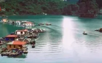 Vịnh Hạ Long - "Thế giới bí ẩn" đối với du khách