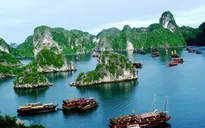 Quảng Ninh mạnh tay chấn chỉnh nạn ép giá du khách