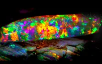 Chiêm ngưỡng viên đá opal đẹp nhất hành tinh