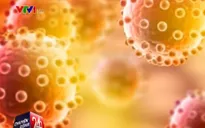Virus Zika tấn công 23 nước trên thế giới
