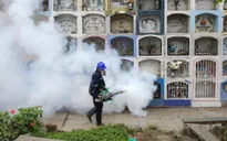 Virus Zika ở Mỹ có thể nhanh và mạnh hơn dự đoán