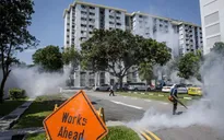 Lo ngại Zika, Bộ Giáo dục Malaysia hủy chuyến đi tới Singapore và Philippines