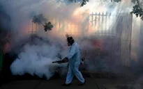 Tổng thống Brazil kêu gọi cộng đồng chống virus Zika