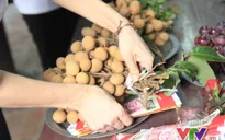 Người Hà Nội đội mưa đi chùa cầu bình an dịp lễ Vu Lan