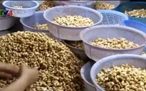 Xúc tiến đầu tư thương mại Việt Nam - Hong Kong (Trung Quốc)