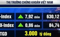 Thị trường chứng khoán bật tăng trở lại