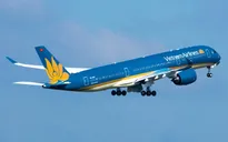 Máy bay của Vietnam Airlines phải quay đầu vì va phải chim