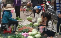 Rau xanh tăng giá mạnh không phải vì thiếu nguồn cung
