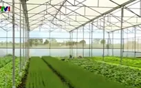 Khó khăn về vốn triển khai nông nghiệp công nghệ cao