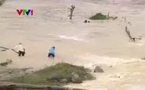 Người dân Kon Tum liều mình vớt gỗ trong mùa mưa lũ