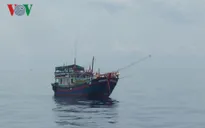 10 tàu cá Bình Thuận bị bắt giữ tại Indonesia và Malaysia