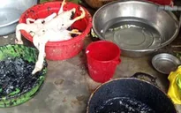 Phát hiện cơ sở dùng chất màu đen để làm sạch lông vịt