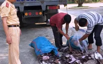 Bắt xe tải chở 21 tấn mực khô mốc, hôi thối đi tiêu thụ