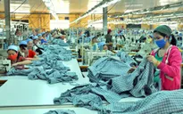 TP.HCM: Nhiều chương trình hỗ trợ khởi nghiệp giai đoạn 2016 - 2020
