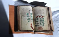 Bản thảo cuốn sách cổ bí ẩn nhất thế giới được xuất bản