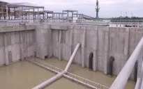 Thủ tướng yêu cầu kiểm tra dự án nhà máy giấy Lee & Man