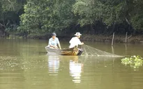 Vườn quốc gia Tràm Chim tổ chức tham quan mùa nước nổi vào tháng 9