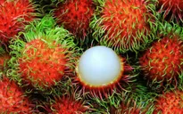 Thủ đoạn lừa tiền của các doanh nghiệp nhập khẩu trái cây từ UAE