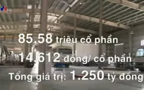 Bán đấu giá thành công Vinamotor